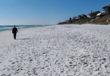 Beach Hike: South Walton 30A Beaches – Seagrove Florida
