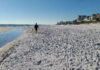 Beach Hike: South Walton 30A Beaches – Walton Dunes Florida