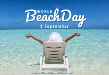 Celebrate World Beach Day on September 1st