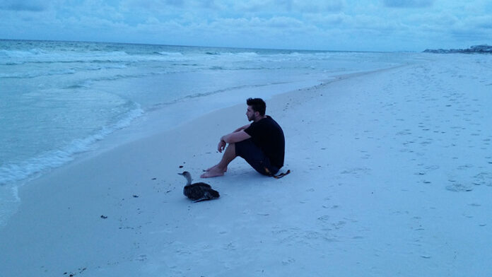 graytonbeach10_1000