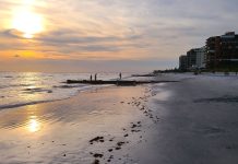Madiera “Mad” Beach & Johns Pass Beach, Florida