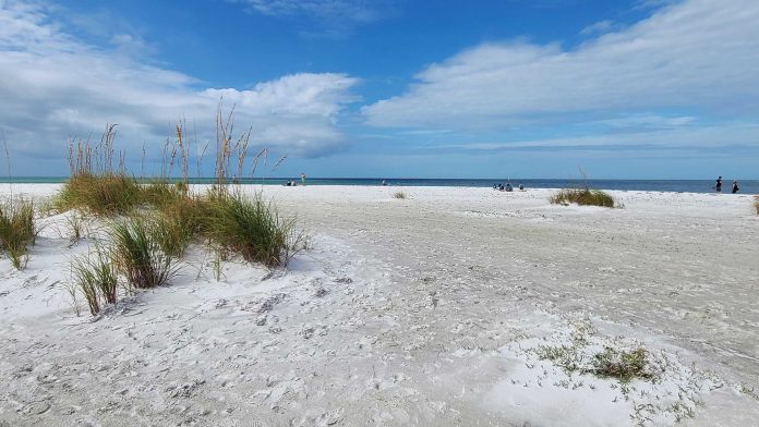 5FL-CW-552-anna-maria-island-20211111_110855-2400
