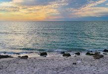 Venice Florida Beaches
