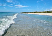 Stump Pass Beach State Park