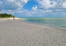 Captiva and Sanibel Island