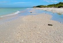 Lovers Key State Park