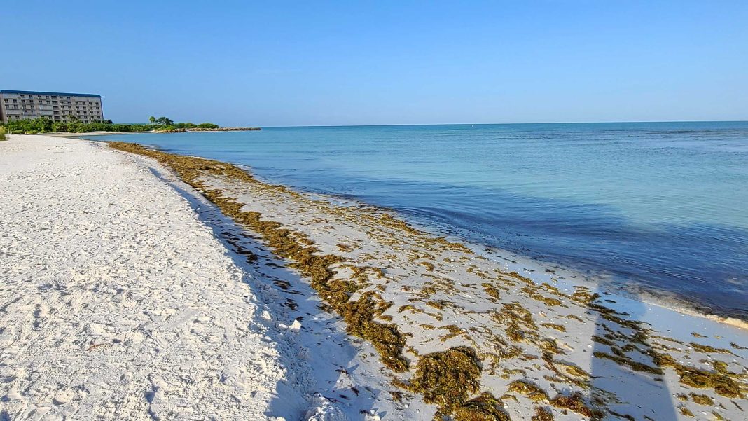 6FL-SW-633-bonita-hickory-beachaccess10-20220719_081632-2400