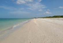 Barefoot Beach County Preserve