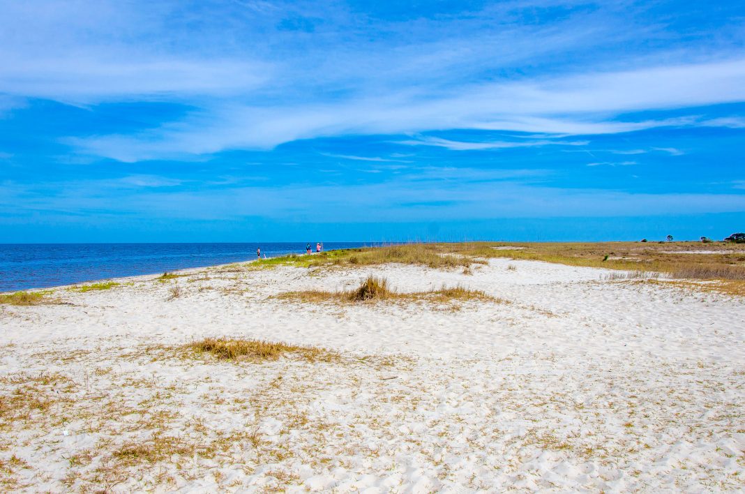 AlligatorPoint_03-15-7917