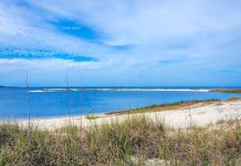 Bald Point & Bald Point State Park, Florida