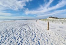 St Joseph Preserve & Peninsula State Park, Florida