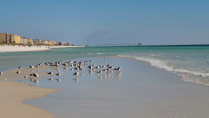 okaloosa-ftwalton-a5-20201208_131255