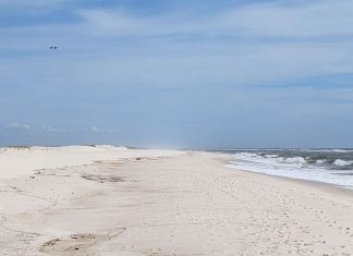 Expert Beach Guide to Perdido Key, Florida The Vibe, Sand & Shoreline & Who It’s For
