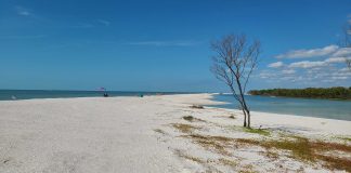 Marco Island Beaches