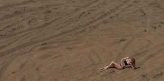 My Nude Beach Experiences in Florida